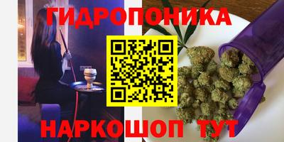 Альфа ПВП Гусев