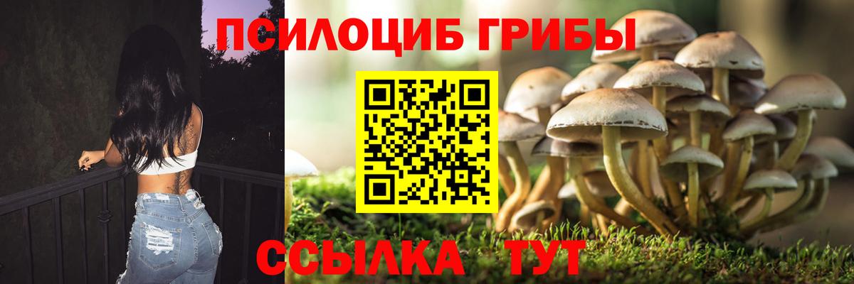 Псилоцибиновые грибы мухоморы  Вход с VPN  Галлюциногенные грибы MAGIC MUSHROOMS  Ноябрьск 